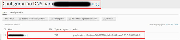 verifica dominio google