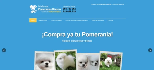 Pomerania Blancos