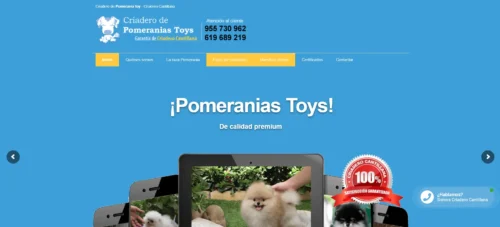 Pomerania Toy
