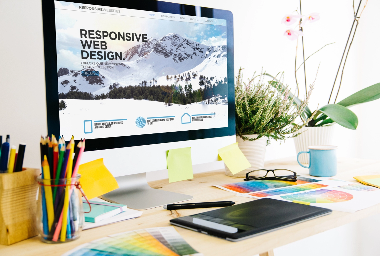 Mantenimiento Web en Alicante